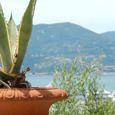 Apartament Le Agavi Del Golfo *